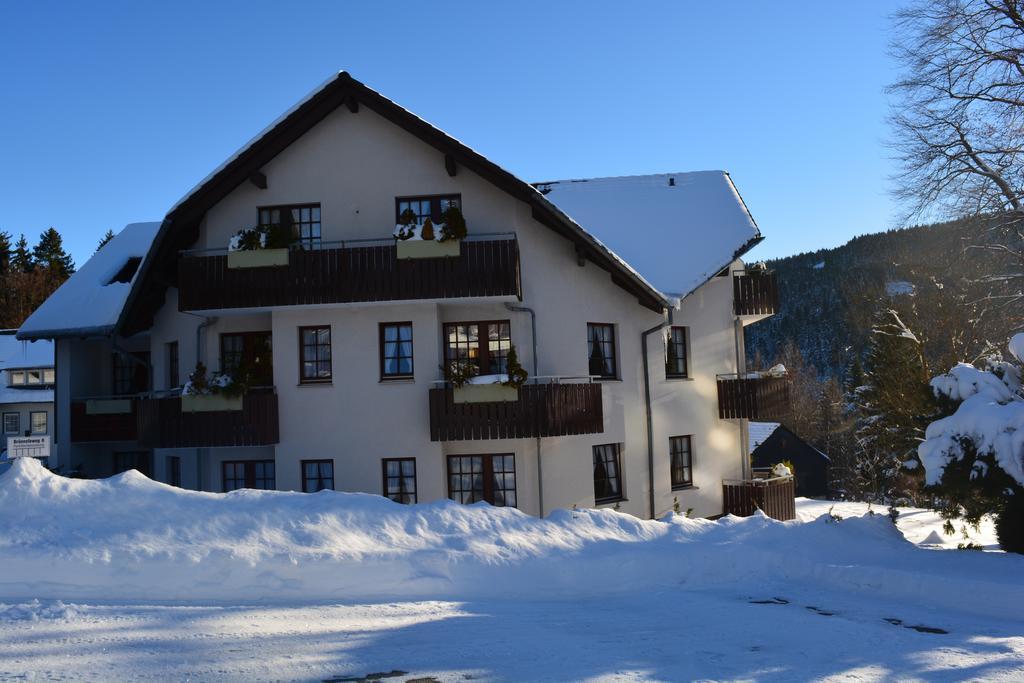 גוסלר Hoffmann'S Apartment In Der Residenz Bocksbergblick מראה חיצוני תמונה